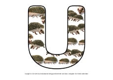 Igelbuchstaben-U.pdf